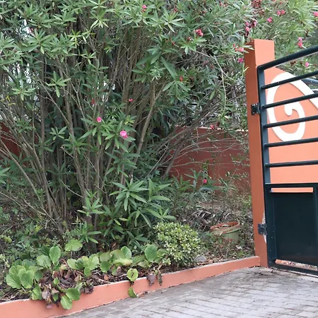 Hébergement de vacances A Casa Minhas Netas *