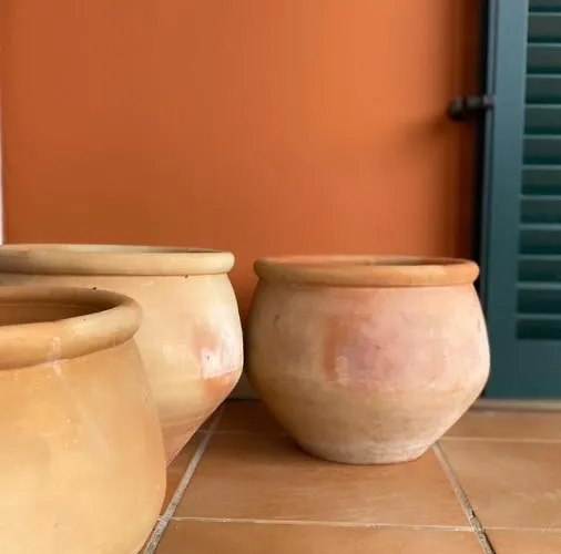 Hébergement de vacances A Casa Minhas Netas