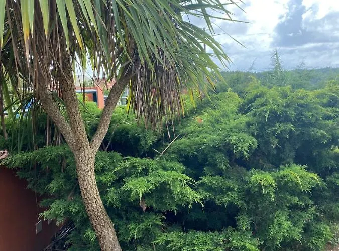 A Casa Minhas Netas Hébergement de vacances